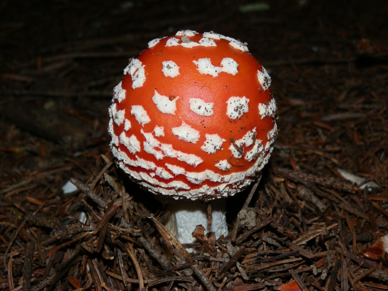 P9090227